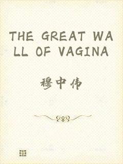 THE GREAT WALL OF VAGINA